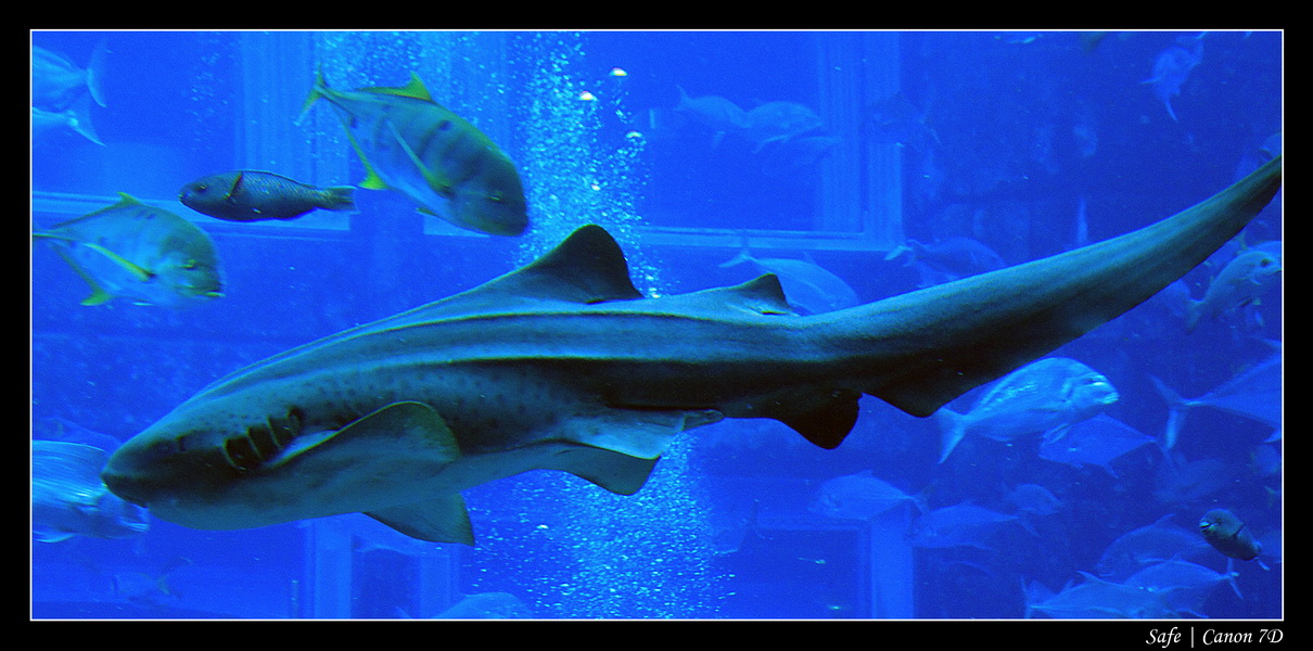 2012 - 06 - Dubai - 033